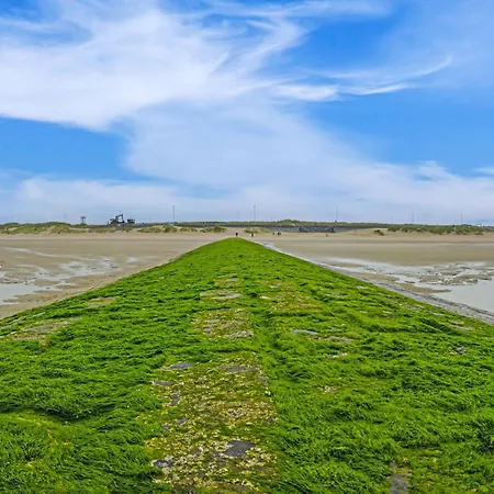 With Sea View And Sunny Terrace アパート