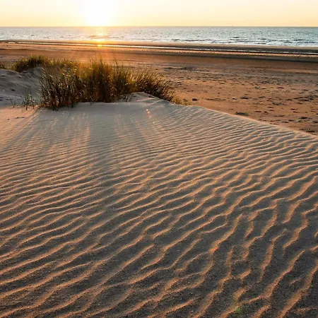 With Sea View And Sunny Terrace アパート ミデルケルケ